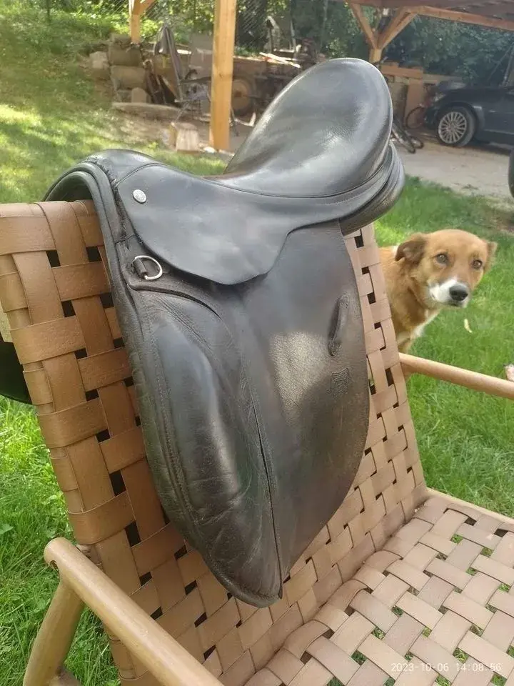 anglické sedlo barnsby
