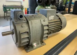 Pohon MEZ M101