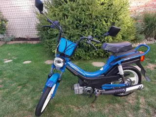 Manet Korádo