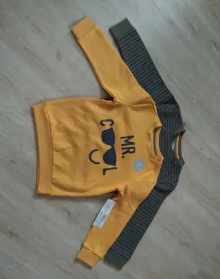 Dvě mikiny