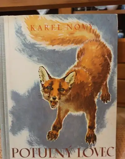 Knihy vydané do roku 1950 a historické romány