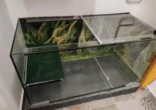Akvárium