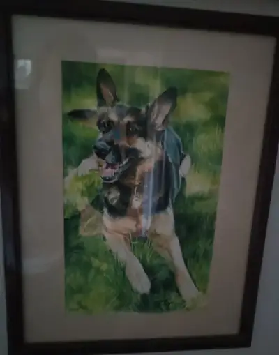 Německý ovčák akvarel