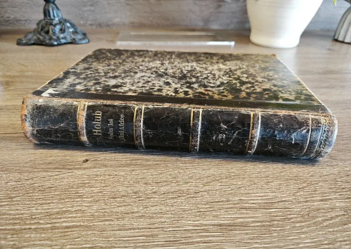 Starožitný cestopis Sedm let v jižní Africe 1881 Emil Holub