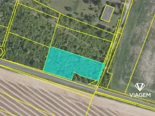 Spekulační - stát 5 085 m², Podíl 50 % o výměře 2 343 m²