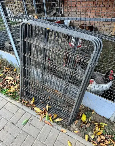Ohrada pro domácí zvířata nebo štěňátka