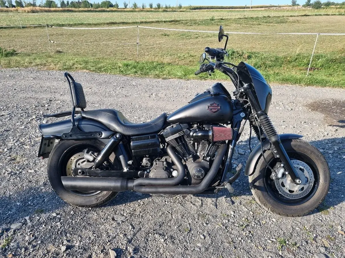 Harley Davidson Fat Bob 2010 110'inch