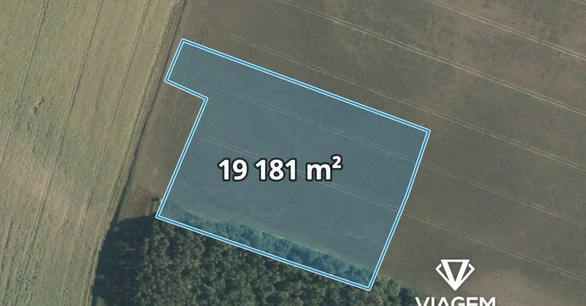 Pole 19 181 m²