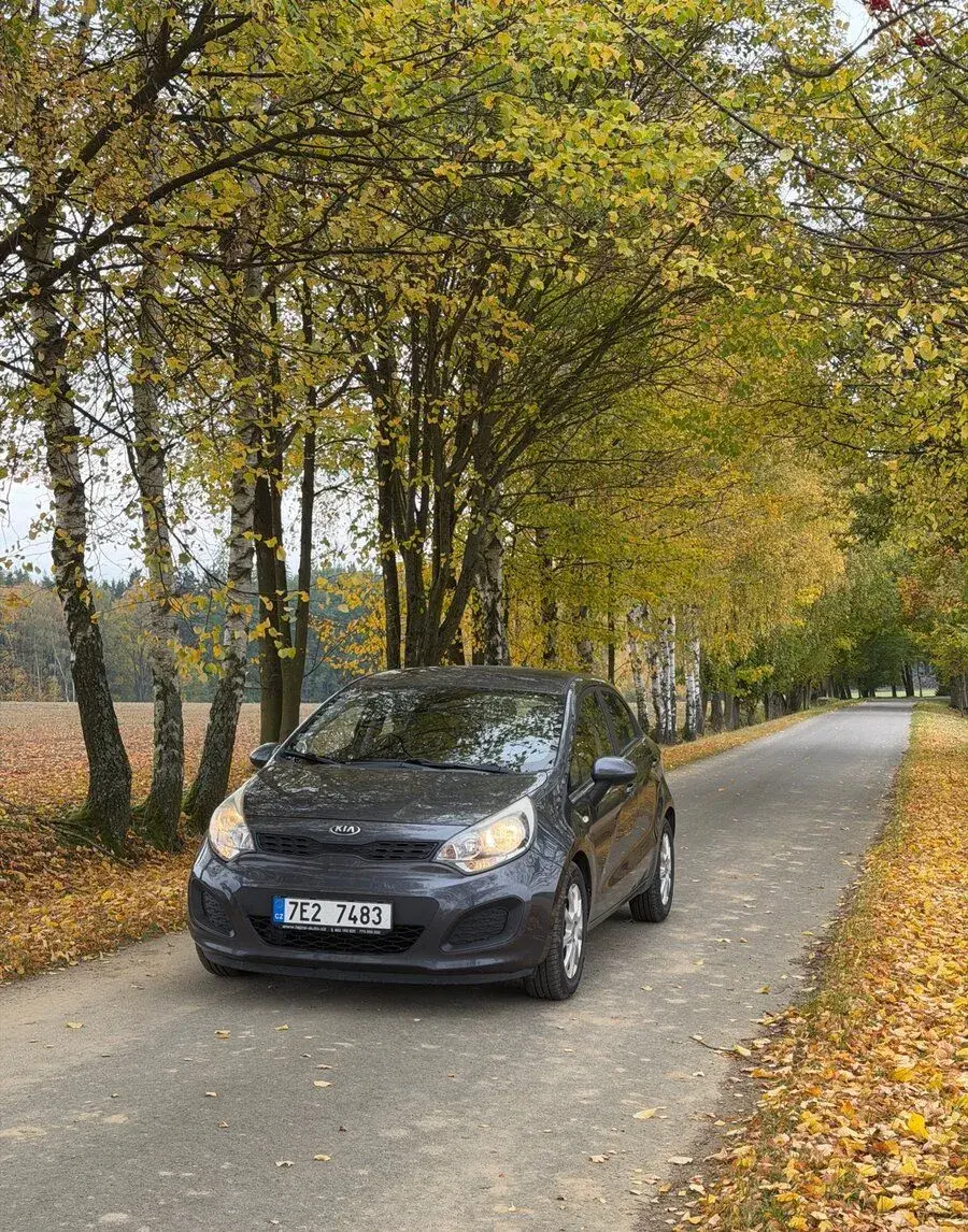 Kia Rio – 2014, 15 000 km