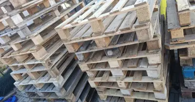 Standardní palety 120x80