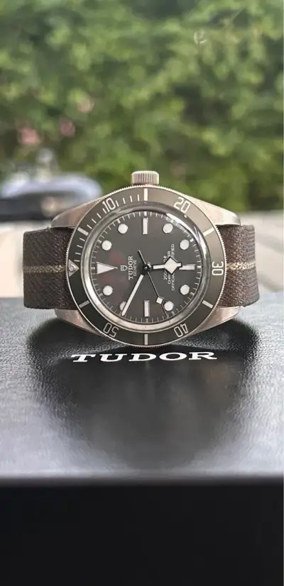 Tudor black Bay 58 925 - stříbro