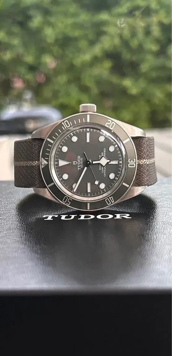 Tudor black Bay 58 925 - stříbro