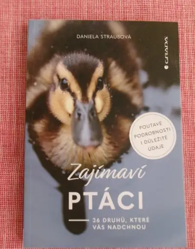 Zajímaví ptáci: 36 druhů, které vás nadchnou.
