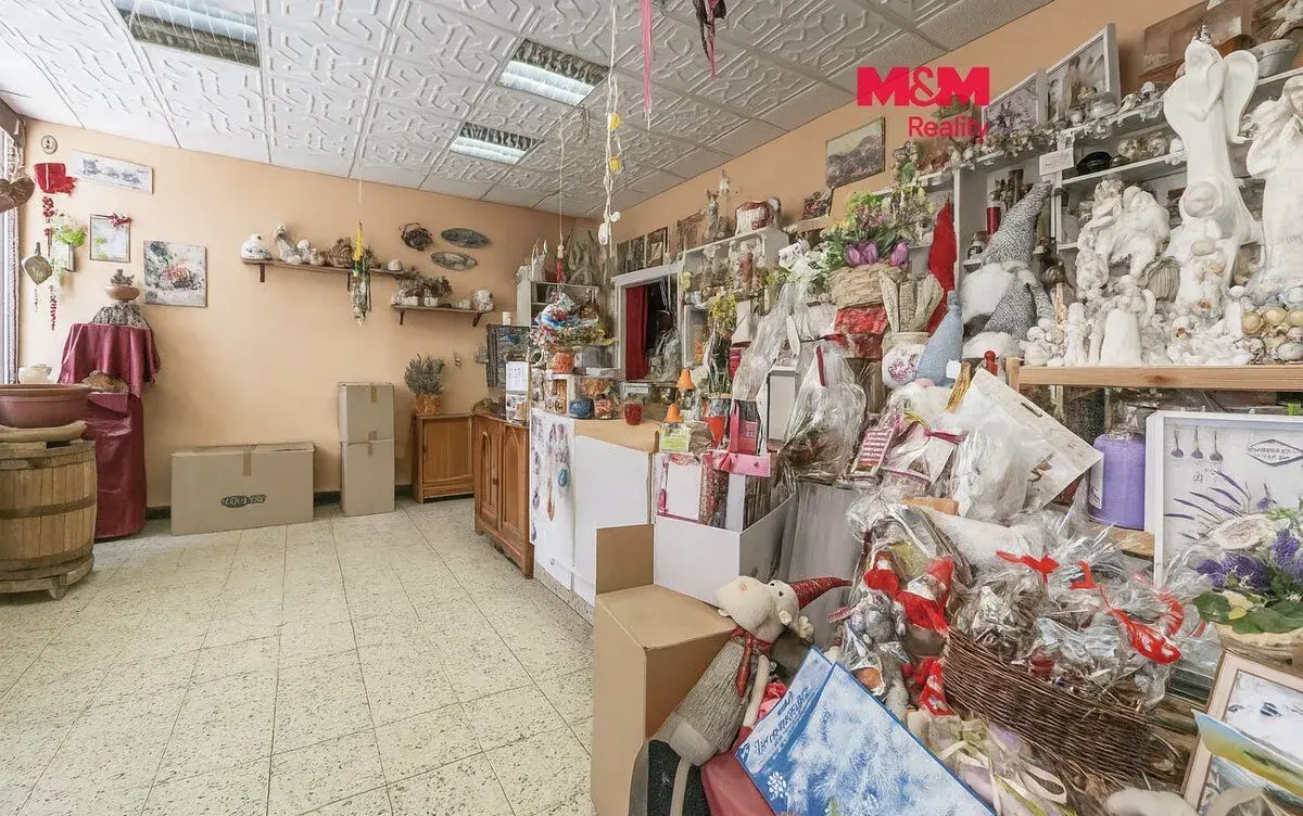 Prodej obchod a služby, 51 m², Chomutov, ul. Písečná