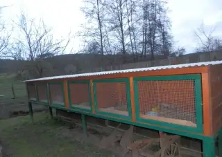 Králíkárna