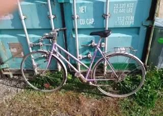 Kolo Favorit a druhé staré kolo
