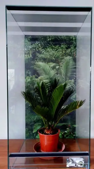 Nové terarium pro chameleona 40x40x80 a jiné stromové gekony