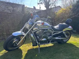 HD V-Rod 100th edition