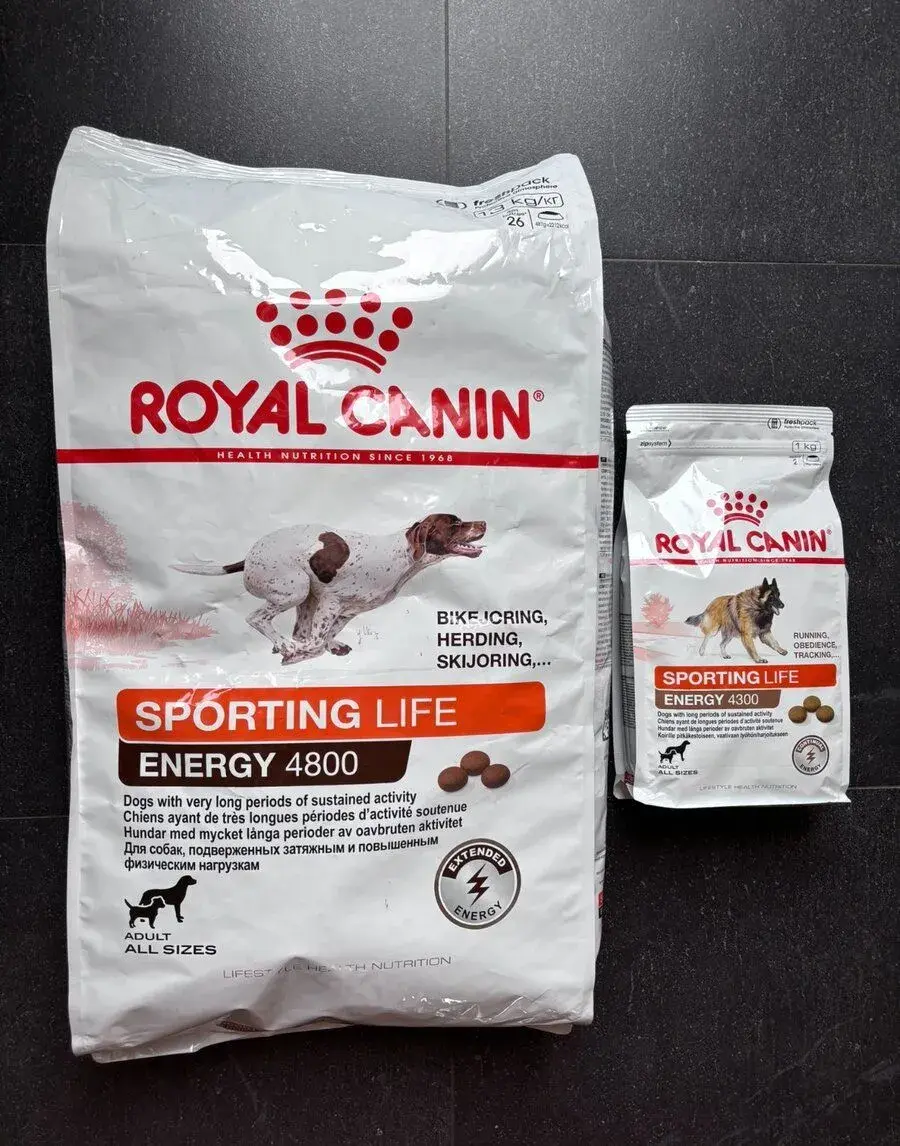 Royal Canin granule Sporting Life energy 4800 13kg + dárek