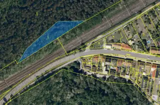 Prodej akátového lesa – 2 449 m2 – Rohatec