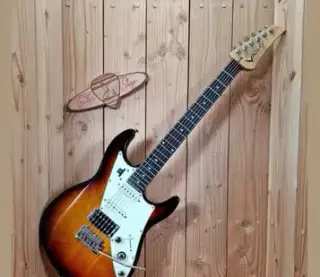 James Tyler Variax JTV-69