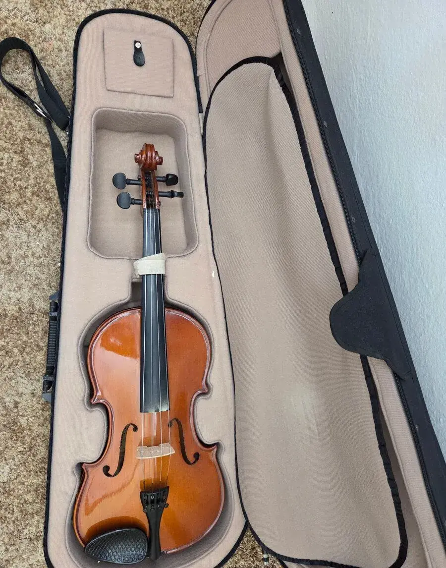 Viola Palatino VA-350
