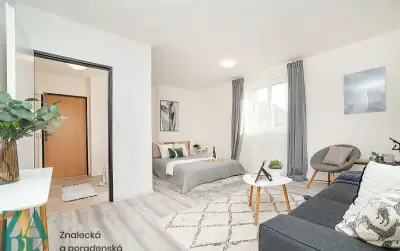 Pronájem bytu 1+kk, Ústí nad Labem - Střekov, ev.č. 00839