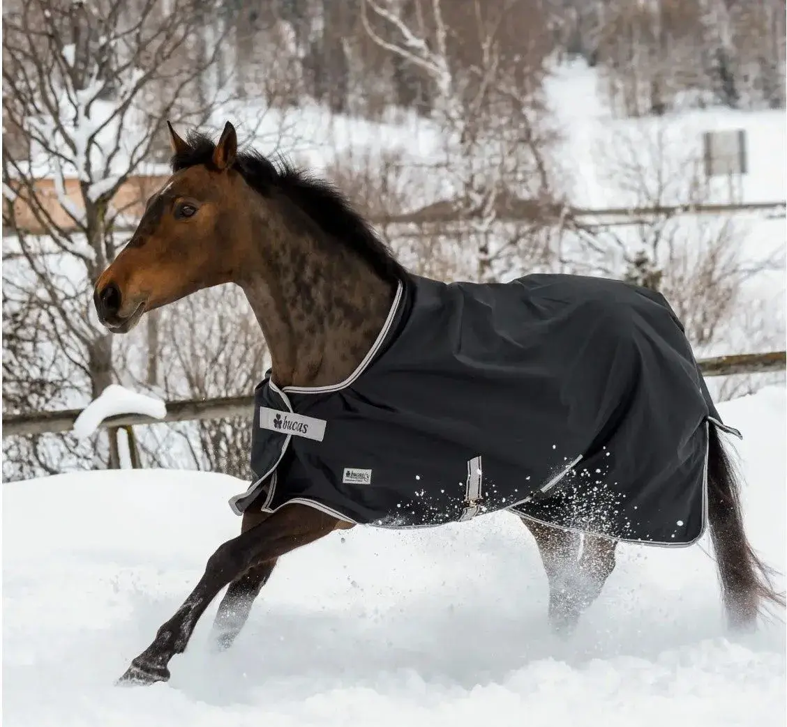Bucas Anniversary Turnout Light SD 135cm