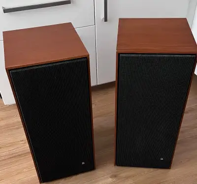 Bang Olufsen Beovox 3000