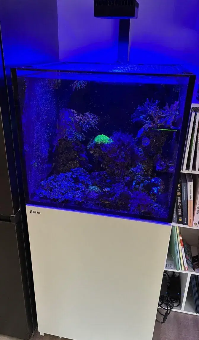 Mořské akvárium Red Sea REEFER 200 G2+