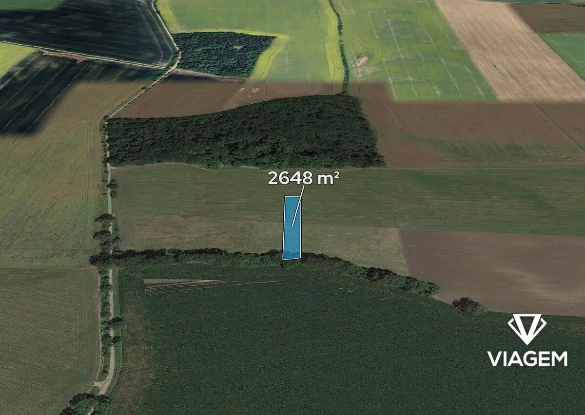 Pole 2 648 m², Podíl 17 % o výměře 441 m²