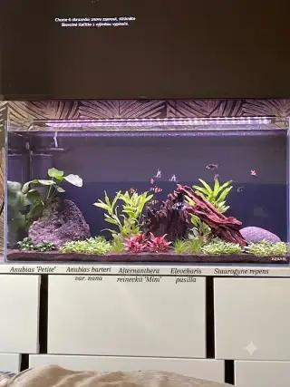 Optiwhite 112l