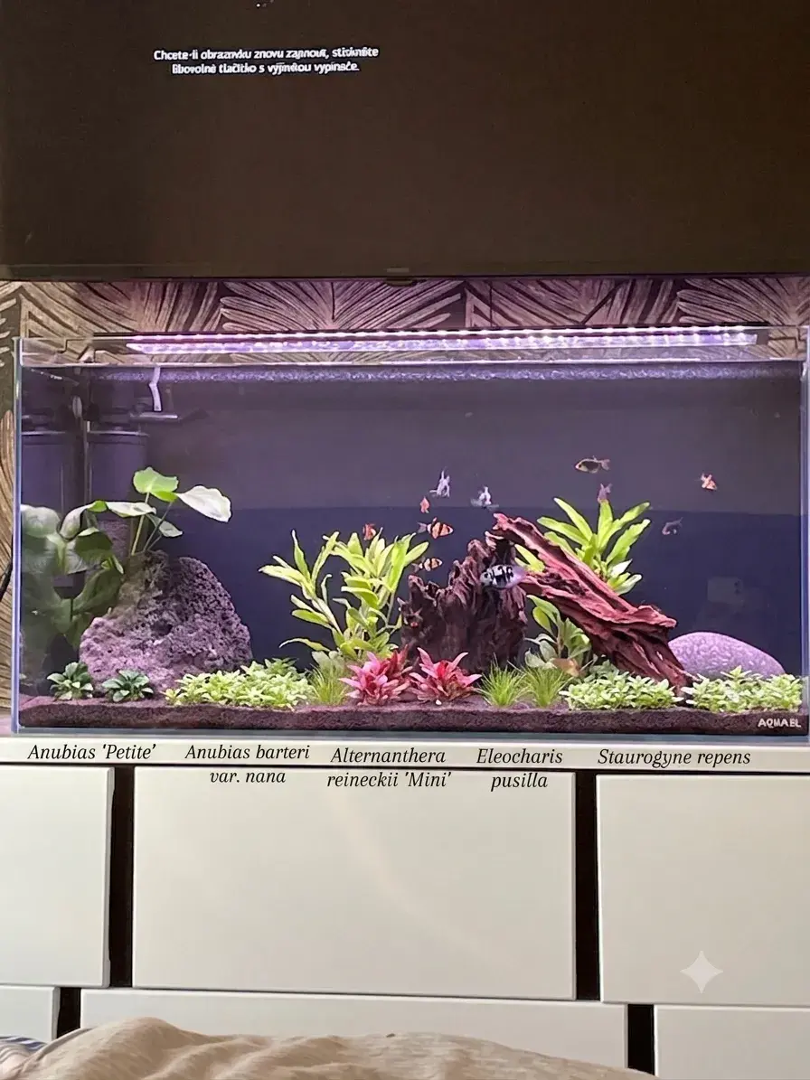 Optiwhite 112l