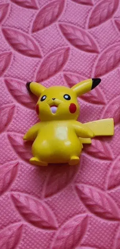 POKEMON