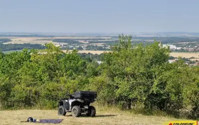 Židlochovice, prodej pozemku 4 149 m2, ovocné stromy – pozem