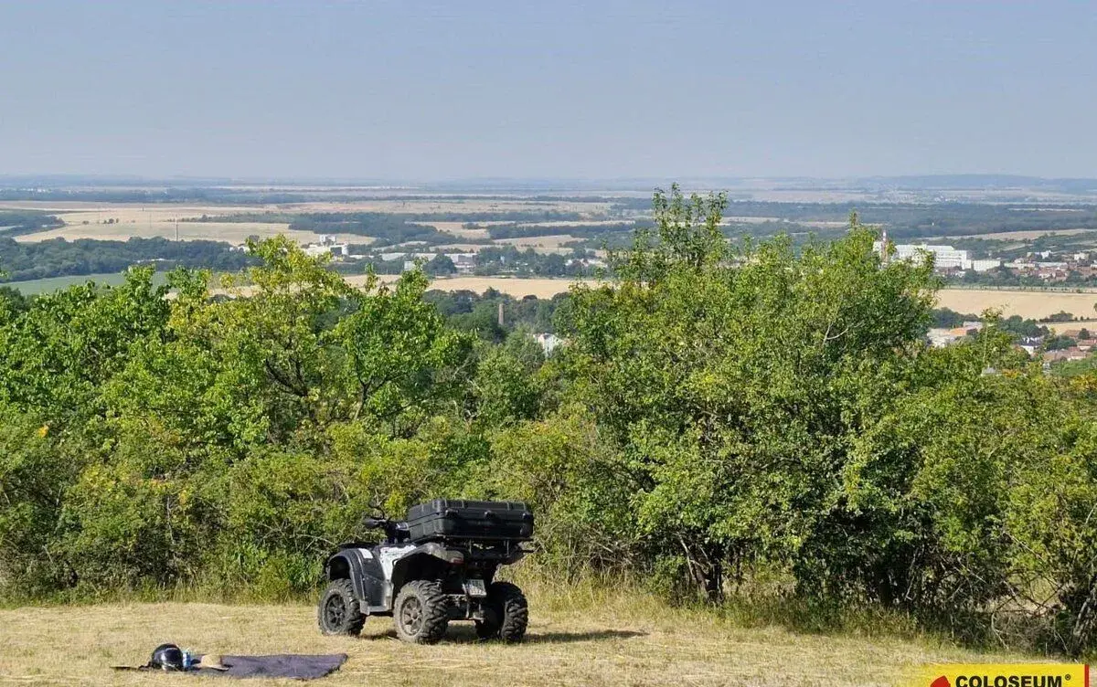 Židlochovice, prodej pozemku 4 149 m2, ovocné stromy – pozem