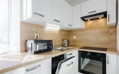 PRONÁJEM: byt 1+1 (43 m²), Braškov - Toskánka