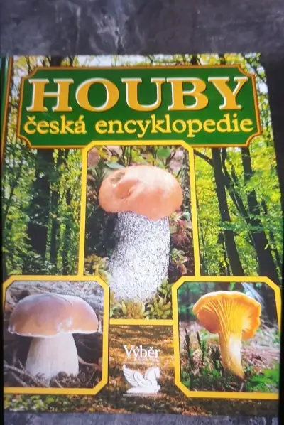 Encyklopedie hub