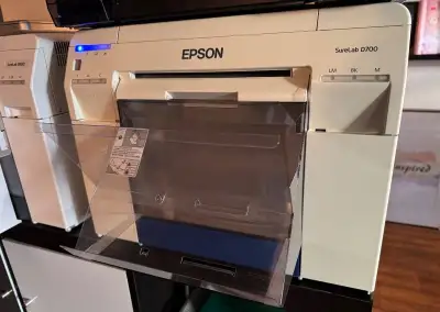 Epson D700