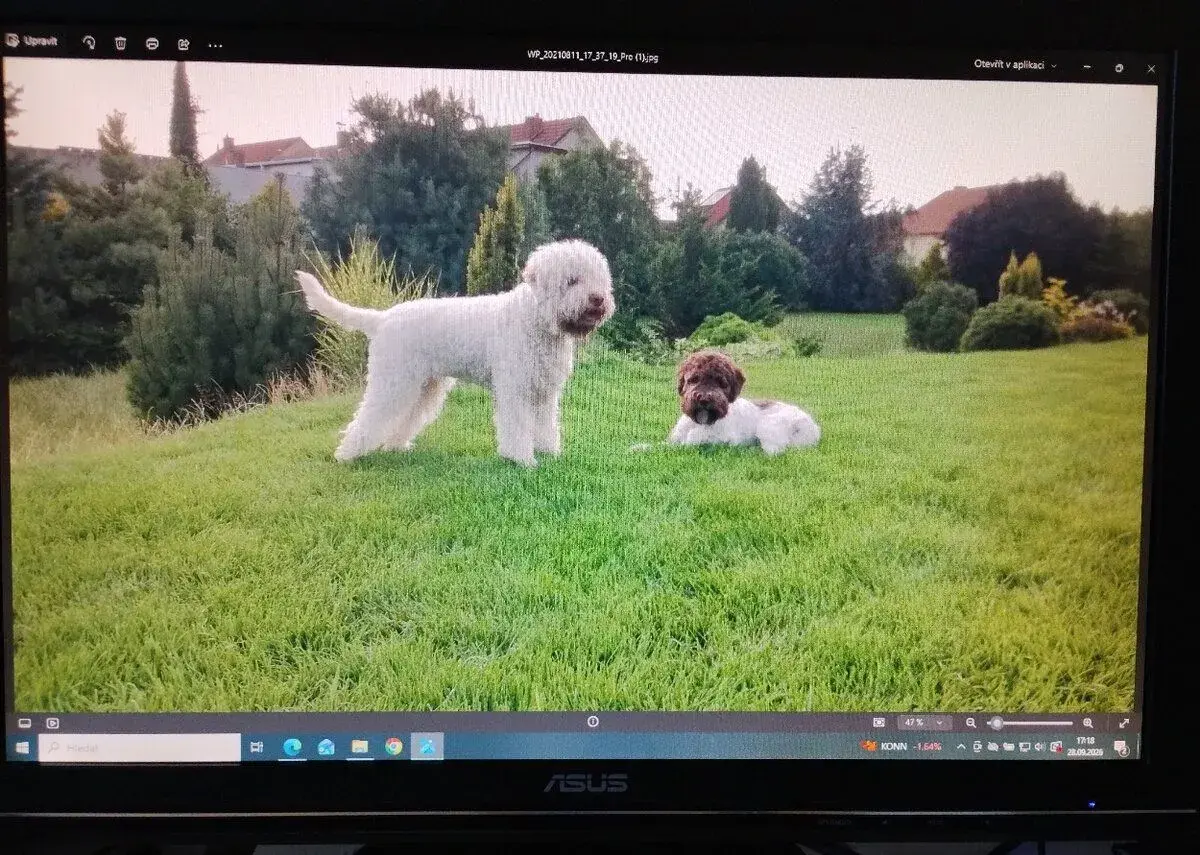 LCD monitor ASUS 19"