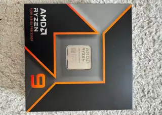 AMD Ryzen 9 9900X