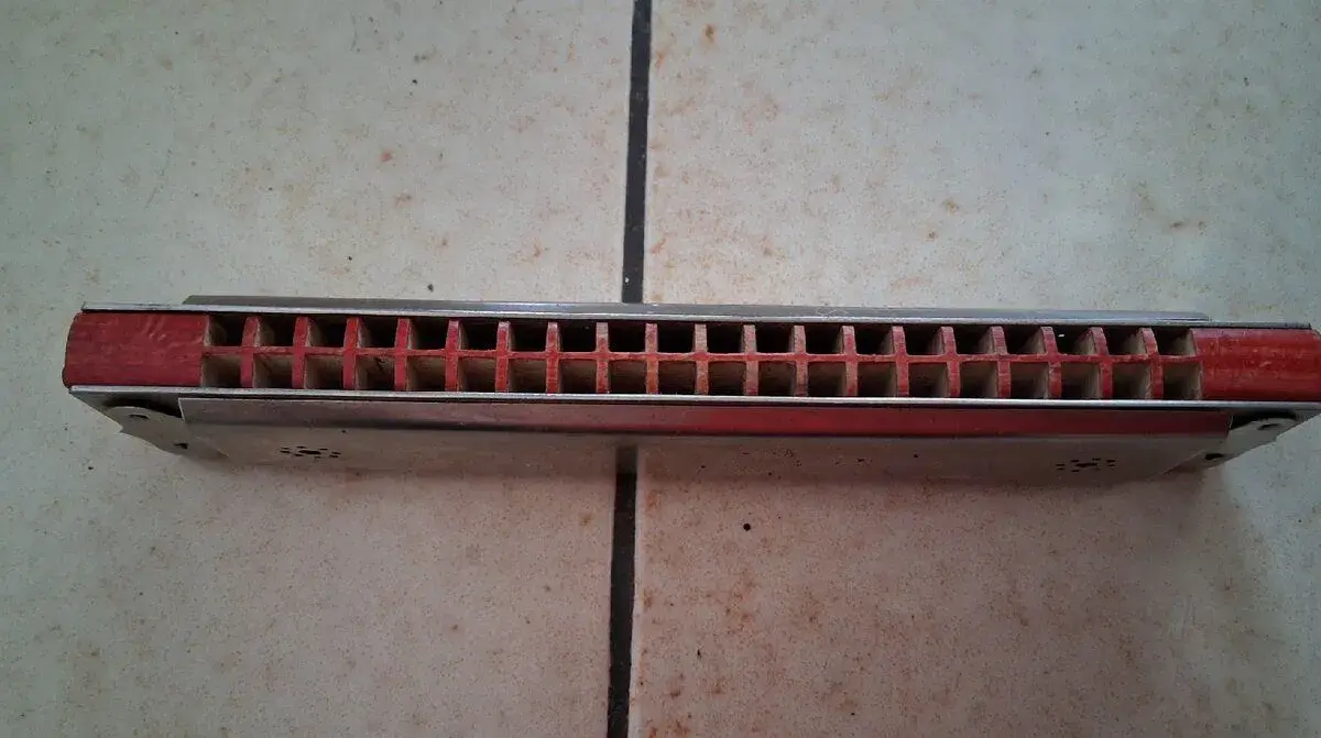 Stará harmonika Delicia Opera