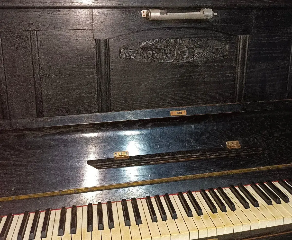 Piano Petrof, cena od 20 tis