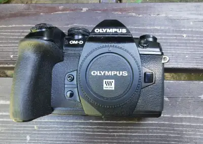 Olympus OM-DM1 II