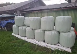Senáž