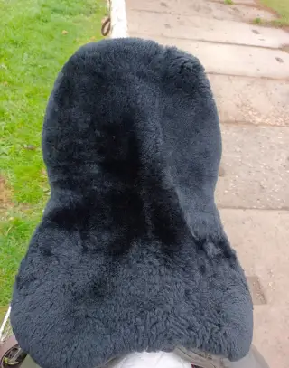 Pravý beránek na sedlo, skvělý stav