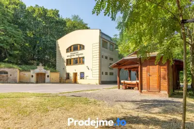 Prodej vinařského areálu + historický sklep z roku 1770 - Ch