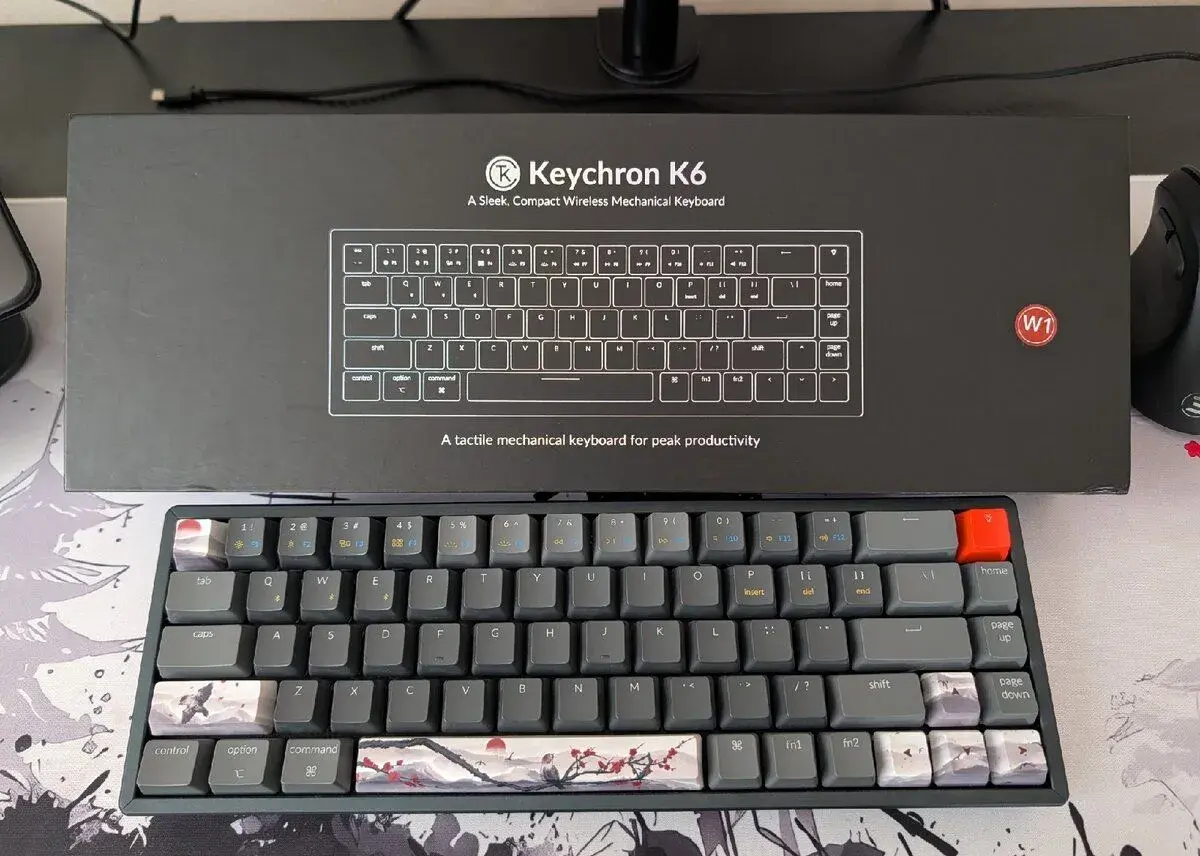 Keychron K6 (Hot-Swap, US) + custom keycaps