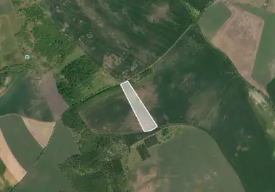 Pole 13 180 m², Podíl 46 % o výměře 6 041 m²