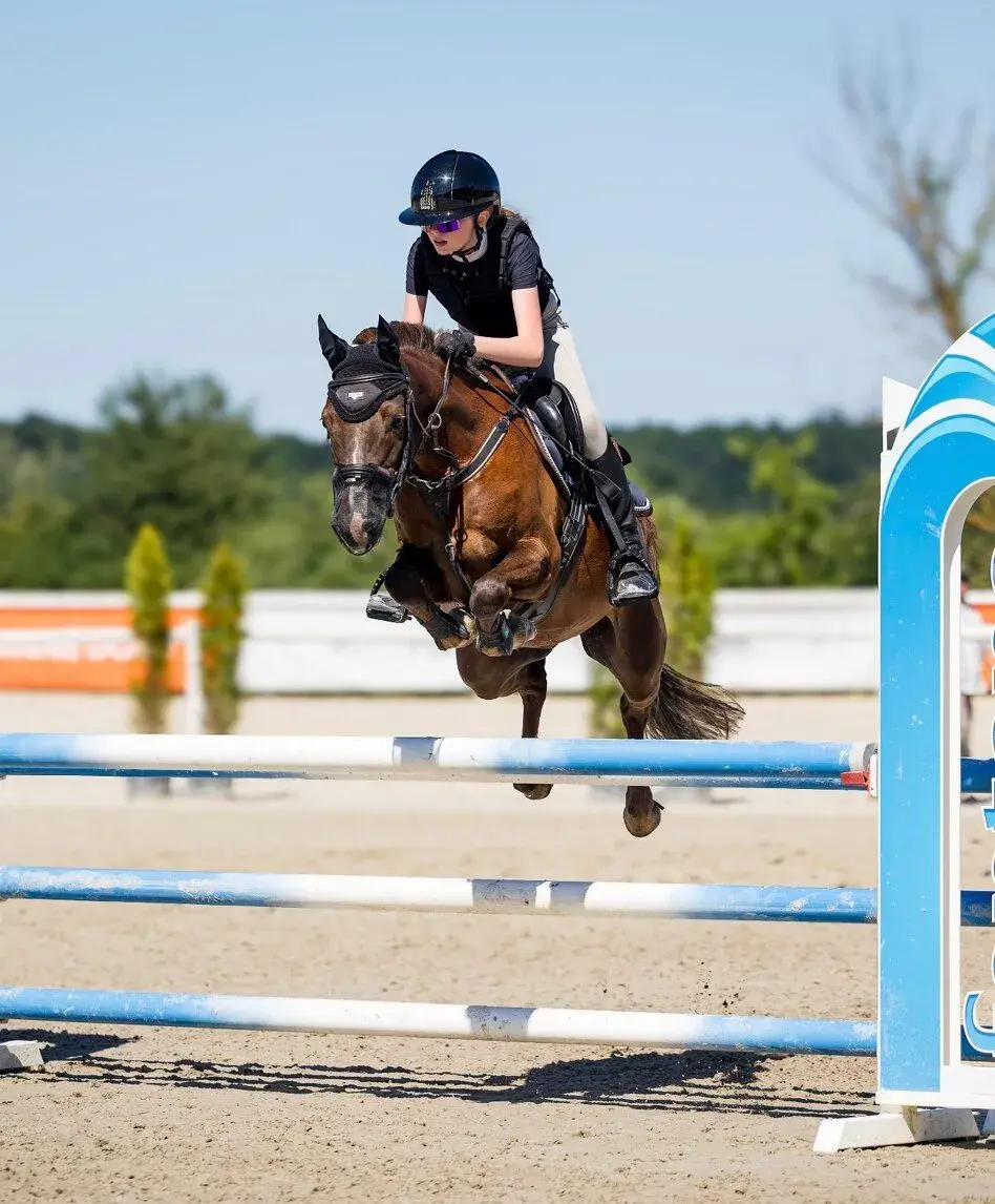 Sportovní pony valach kat.B